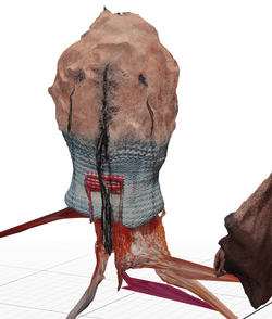 3D scanned textile art collection image