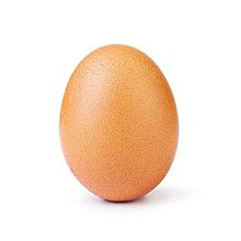 Egg