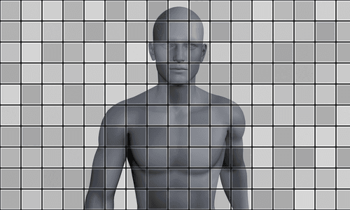 tiles human