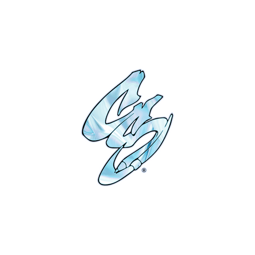 CS CUSTOMIZED LOGOS