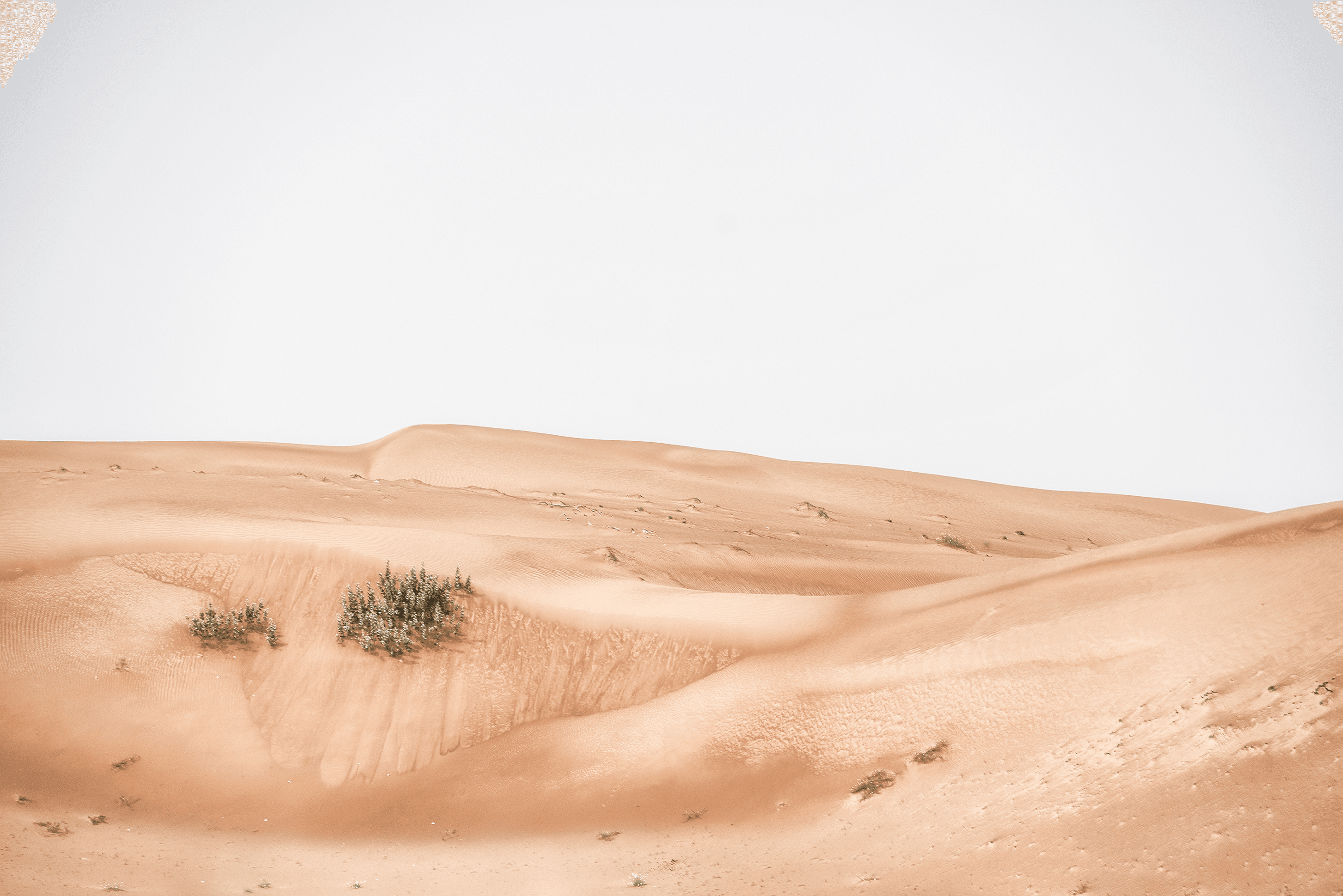 UAE Dunes