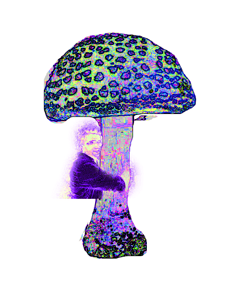 AsroMushrooms