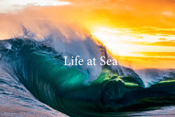 Life at Sea - collection image