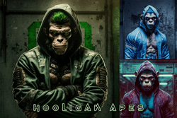 Hooligan Apes collection image