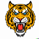 Roaring Tigers
