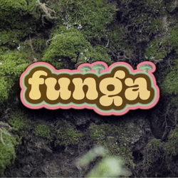 Funga & Friends collection image