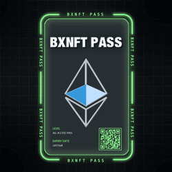 BXNFT PASS collection image