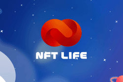 NFT LIFE CARD collection image