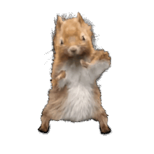 JackSquirrel