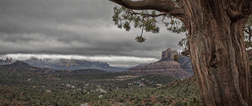 Juniper View