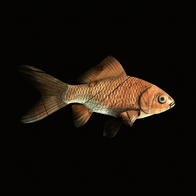 CryptoFish #5616