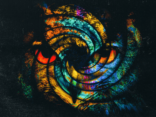 Depths_