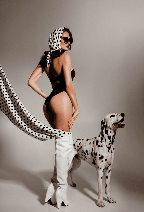 Luxury Dalmatians