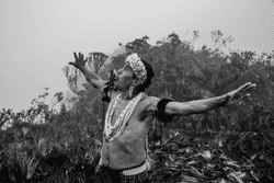 Amazonia - Sebastiao SaIgado Official