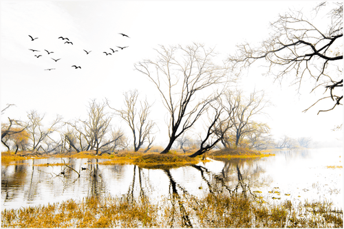 World Thru My Lens (Travel & Landscape)