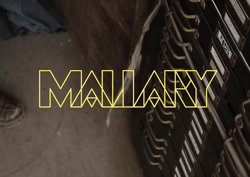 Who Is Robert Mallary?