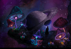Shroomverse By Sydart collection image
