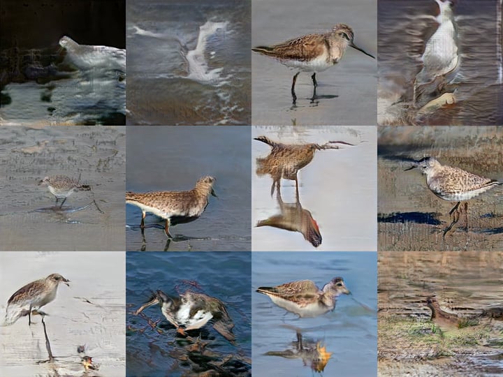 CUSP - Marsh Birds #75
