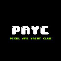 Pixel Ape Yacht Club (PAYC) - Official collection image