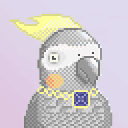 Gray Parrot PixelArt PFPs collection image