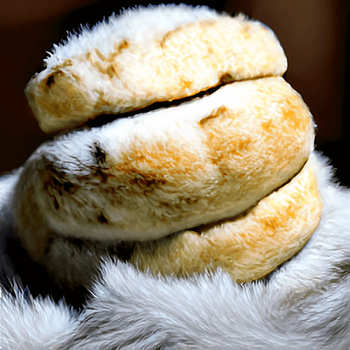 A Furry Biscuit