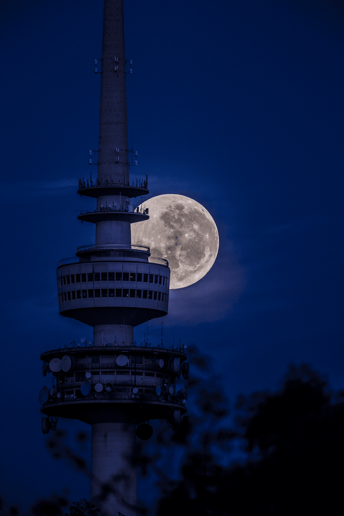 Towering Moon