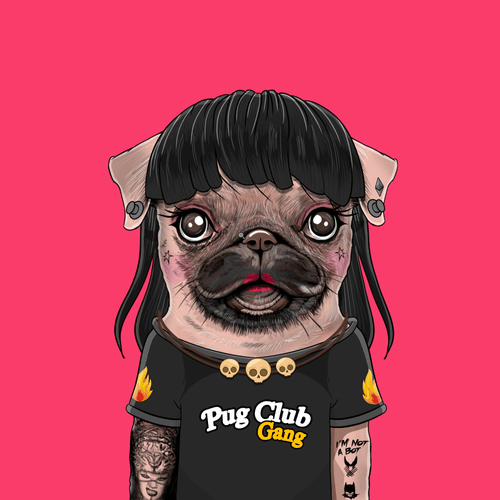 Pug #0053