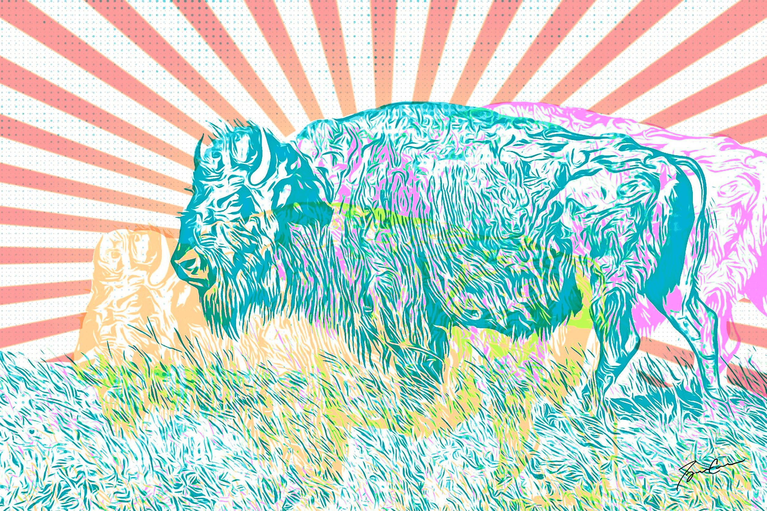 Pop Art Bison