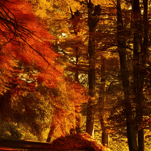 Autum vibes
