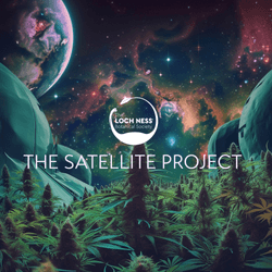 The Satellite Project by TLN collection image