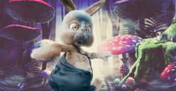 Rabbitus Wonderland collection image