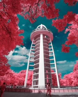 False Colours - Beyond the Reds (IR Photography) collection image