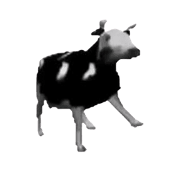 Polish Cows