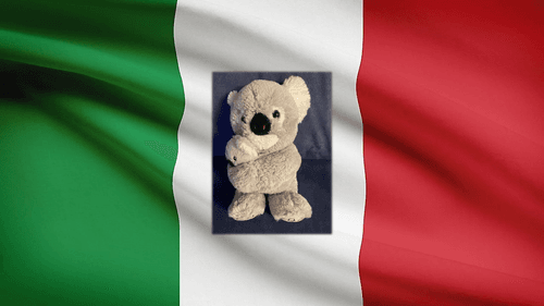 The Italian Koala