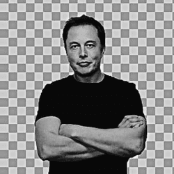 ElonOrdinal Musk collection image