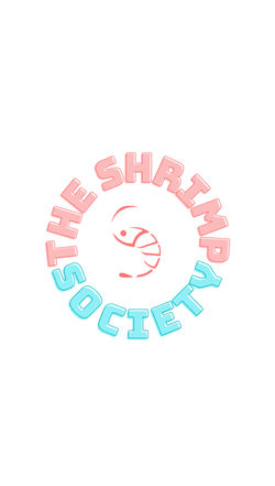 Shrimp Society Jumbo Card collection image