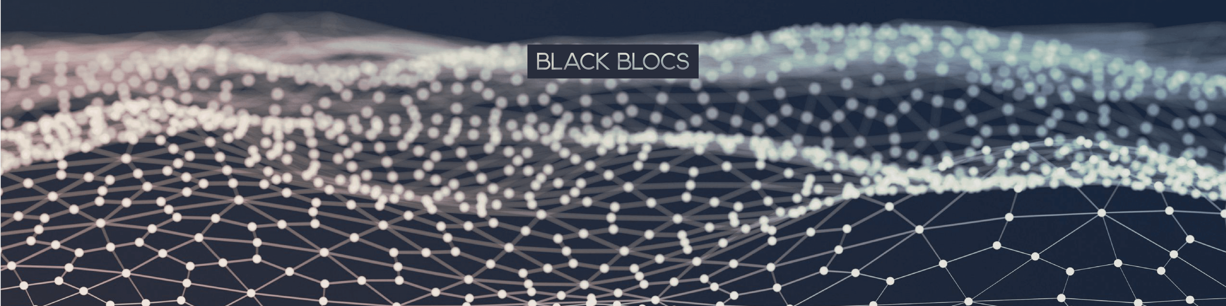 Black-Blocs-1 バナー