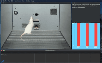 Sniffy The Virtual Rat Pro, Version 3.0 Edition 3 By Tom