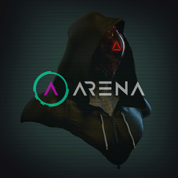 Arena Hackers