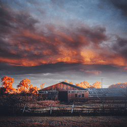 and then the quiet explosion - Bryan Minear - Limited Edition collection image