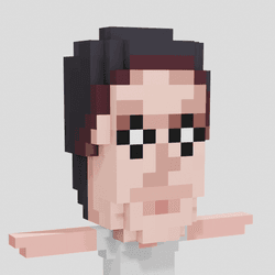 Stoned Voxel Human collection image