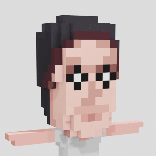 Stoned Voxel Human