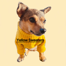 YellowSweaters Collections collection image