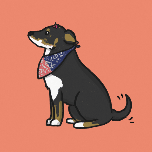 NFP #006 - Ladybird