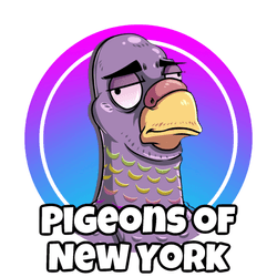PIGEONS OF NEW YORK collection image