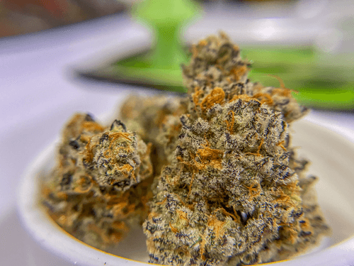 Snowy Mountain Nuggets