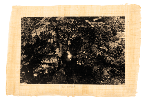 Justin Aversano - The Hermit - Physical Tarot Scroll - 2/3