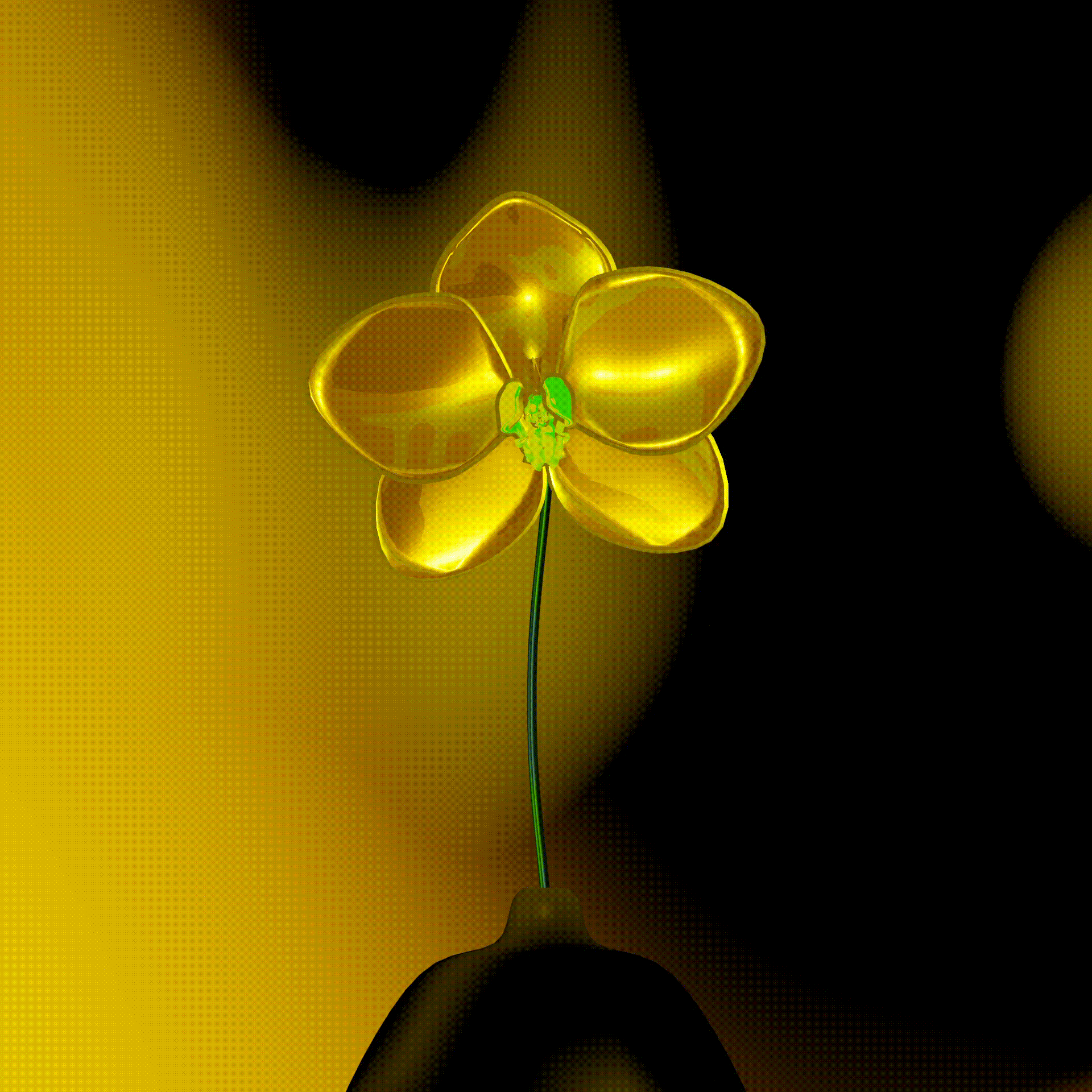 Phalaenopsis-Gold-
