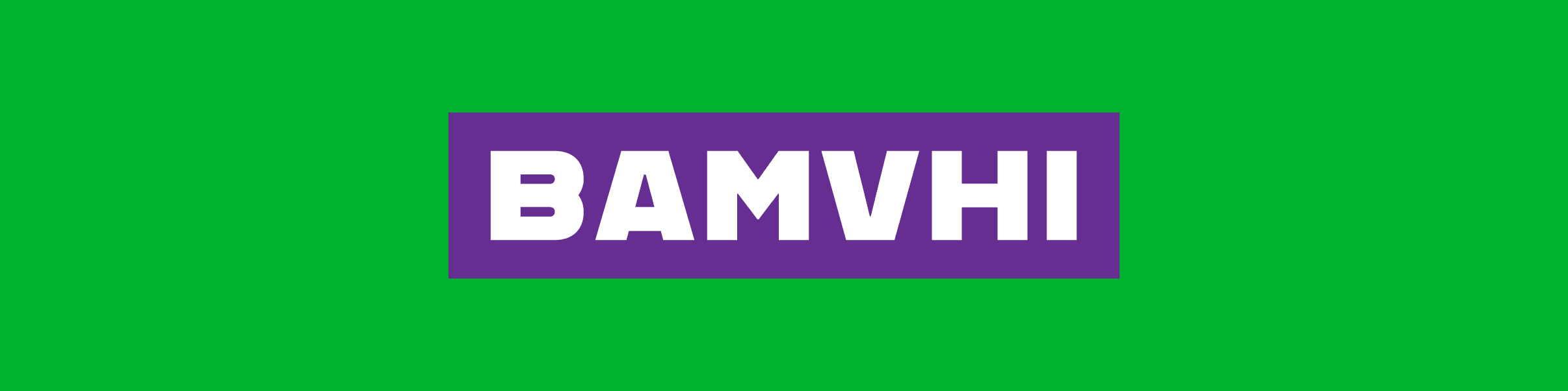BAMVHI banner