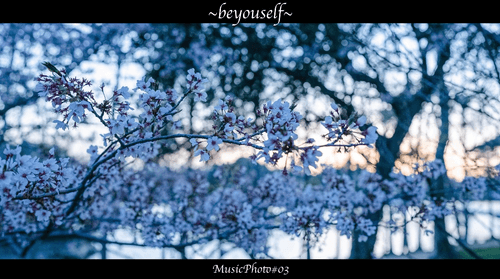 ~beyourself~MusicPhoto#03